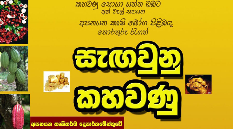 Natural Vanilla (Pvt) Ltd is Sri Lanka based company which has more than 20 years experience in Vanilla cultivation , curing, and marketing. 2017 We have sold around 1 Ton Vanilla beans to worldwide.
Now we are focusing to expand Vanilla cultivation in Sri Lanka. now we have 3000 farmers base but our main target is increase vanilla farmers to 25000 and curing 10 Tons in 2021. we are teaching, promoting Vanilla cultivation through give wines to farmers, Vanilla Education Exhibition, free home visits and teaching pollination, secure Vanilla Growing arias.